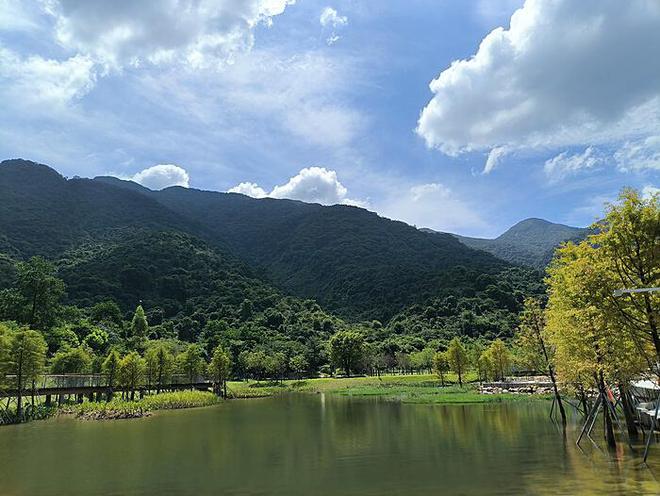 广西砂糖橘又启程向东北：产业变迁的见证与美味传递的旅程